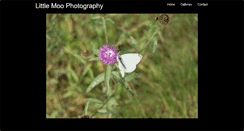 Desktop Screenshot of littlemoophotography.foliohd.com