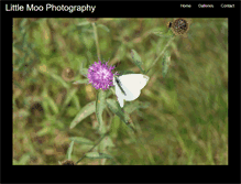 Tablet Screenshot of littlemoophotography.foliohd.com